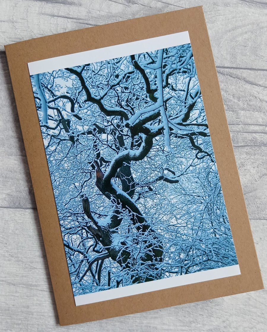 Oak in Snow Greetings Card (B), Christmas Card, Yule Card