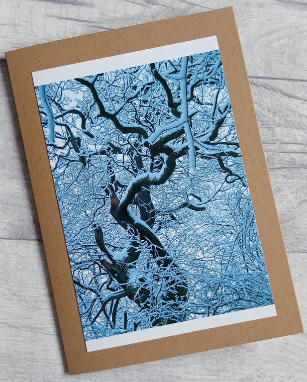 Oak in Snow Greetings Card (B), Christmas Card, Yule Card