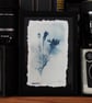 Botanical Cyanotype Photo Print in 12 x 17cm frame. O.O.A.K 