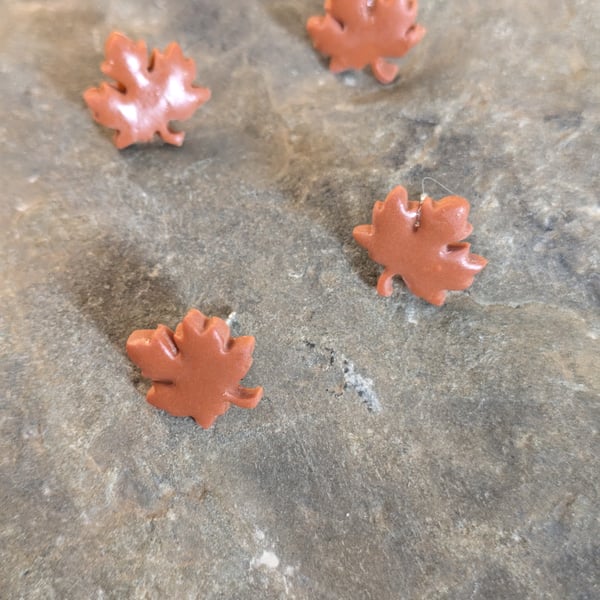 Autumn maple leaf studs 