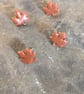 Autumn maple leaf studs  - Image 1