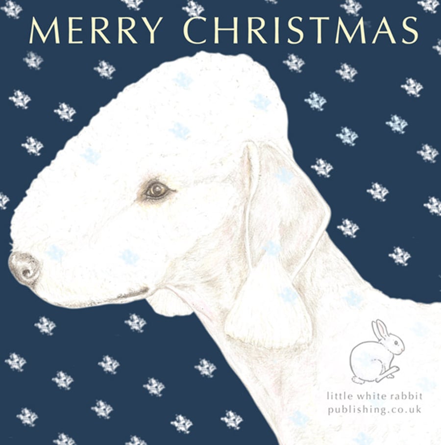 Roxy the Bedlington Terrier - Christmas Card