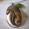 Sea Horse Shell Necklace