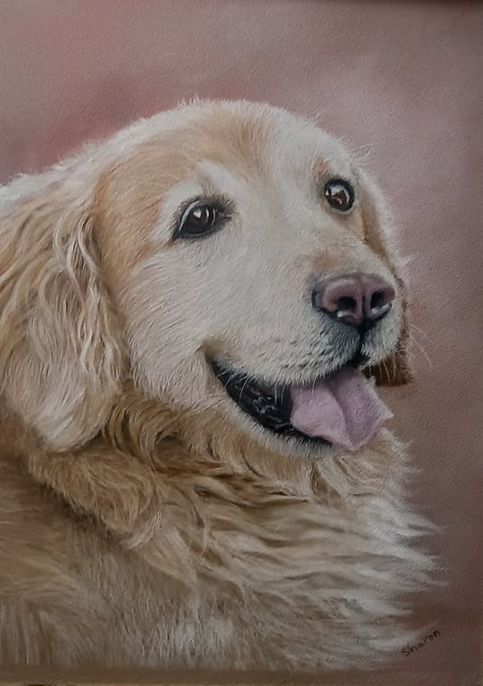 Golden Retriever Dog Portrait