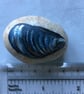 Shell painted pebble - Image 5