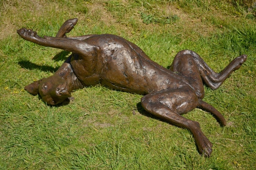 Bronze Resin Vizsla Lying on its Back Statue Large Bronze Resin Garden Sculpture