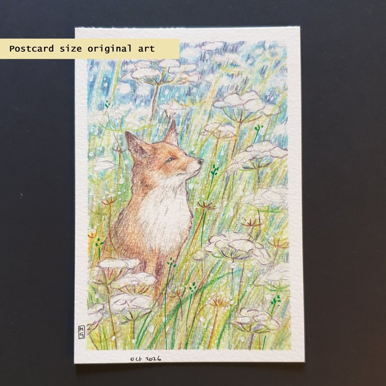 Little fox cub among the cow parsley, original postcard size drawing, wall art