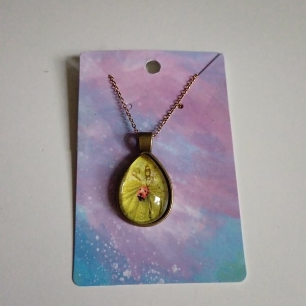 Beautiful ladybird photography teardrop pendant necklace
