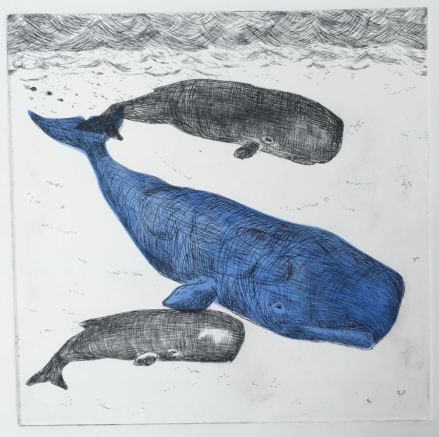 3 Sperm Whales