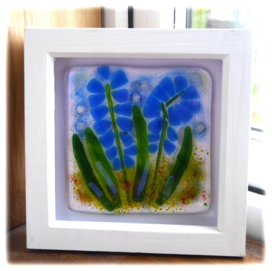 Fused Glass Bluebell Picture Box Framed 002 Grape Hyacinth