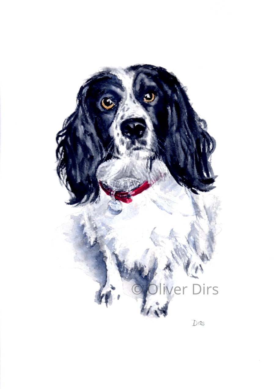 Spaniel – original watercolour painting, framed
