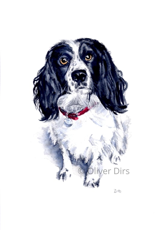 Spaniel – original watercolour painting, framed