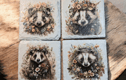 Animal Coasters