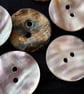 1940's Vintage and Rare Real Pearl Button 23mm 7 8" x 6 Buttons