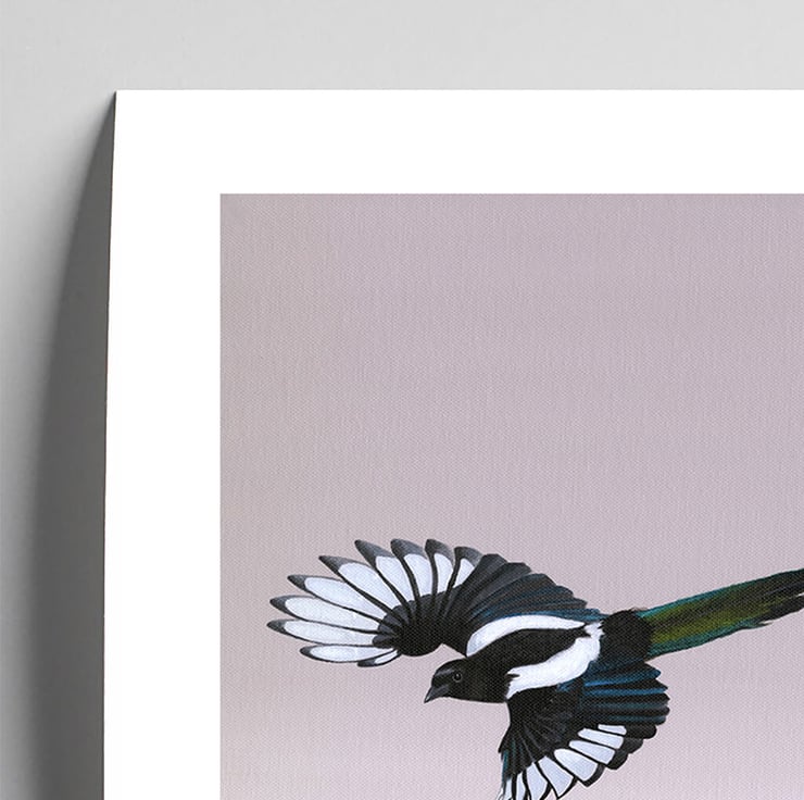 Fine Art Giclée Print Magpie in Flight Bird - Folksy