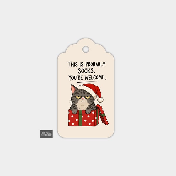 Unique Funny Christmas Gift Tags For Adults, 6pk - Grumpy Cat In Box