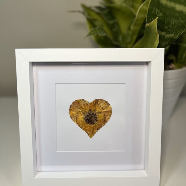 Framed Pressed Flower Heart Real Botanical Art