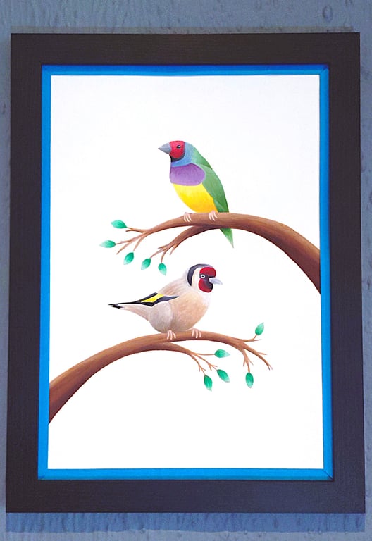 Made in UK Framed A3 Print Colourful Gouldian GoldFinch Dark Blue Border Wallart