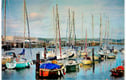 Dorset Pictures