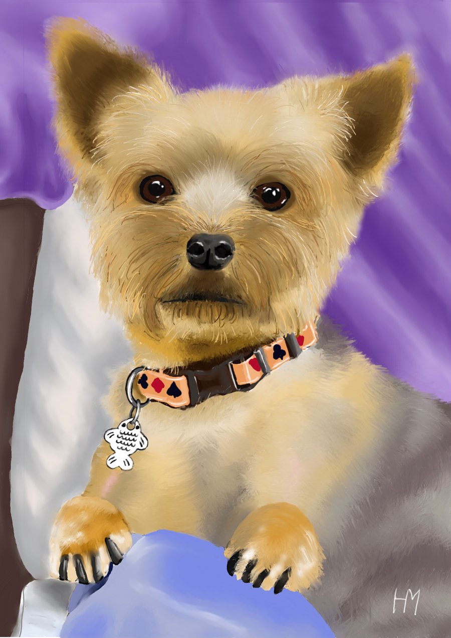 Pet portraits to order