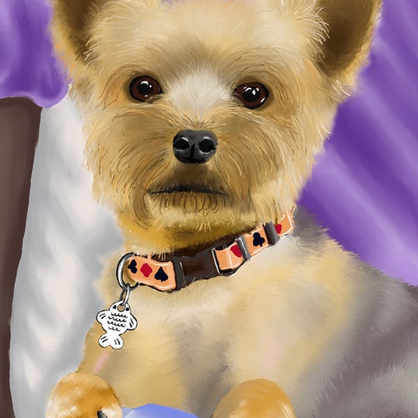 Pet portraits to order