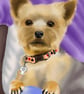 Pet portraits to order - Image 1