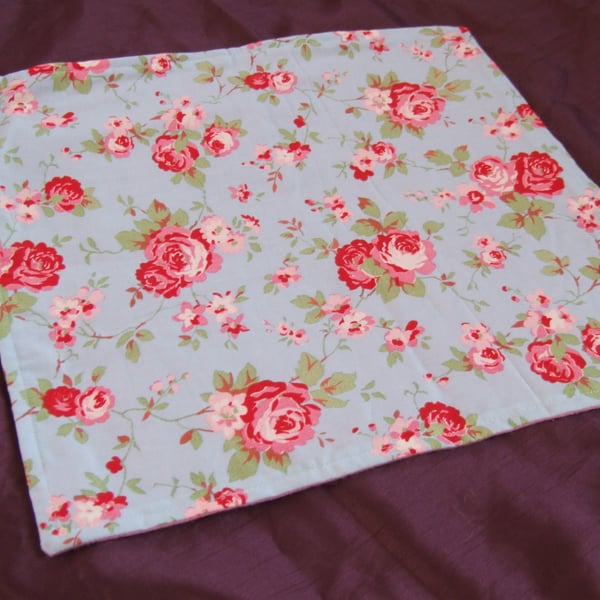 Lovely soft sleep mat for cat 