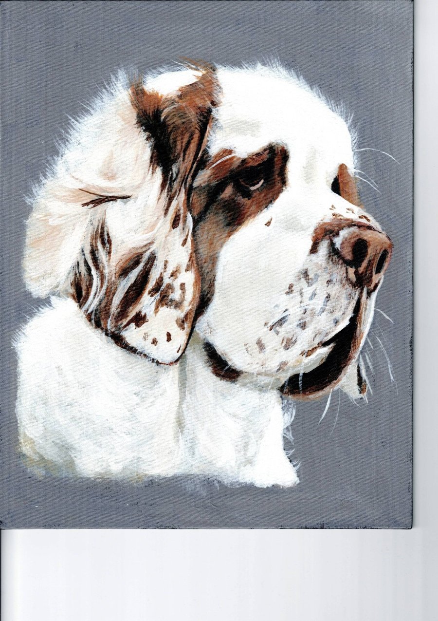 Clumber Spaniel