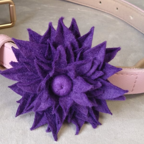 Dahlia dog collar flower