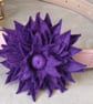 Dahlia dog collar flower