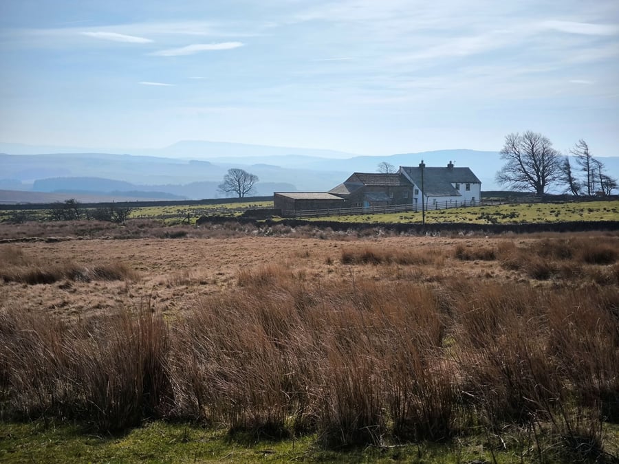Forest of Bowland
