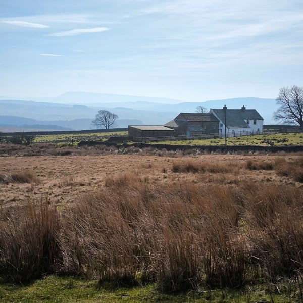 Forest of Bowland