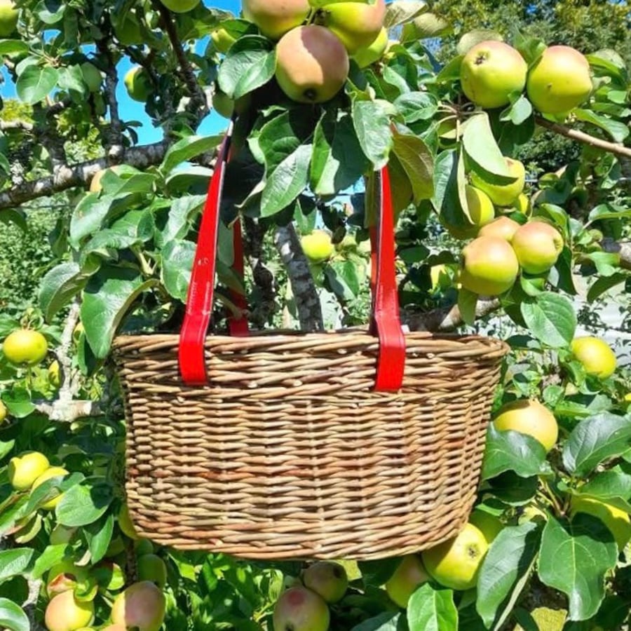 Willow Basket with Handstitched English Leather Handles - Made in Cornwall - 702
