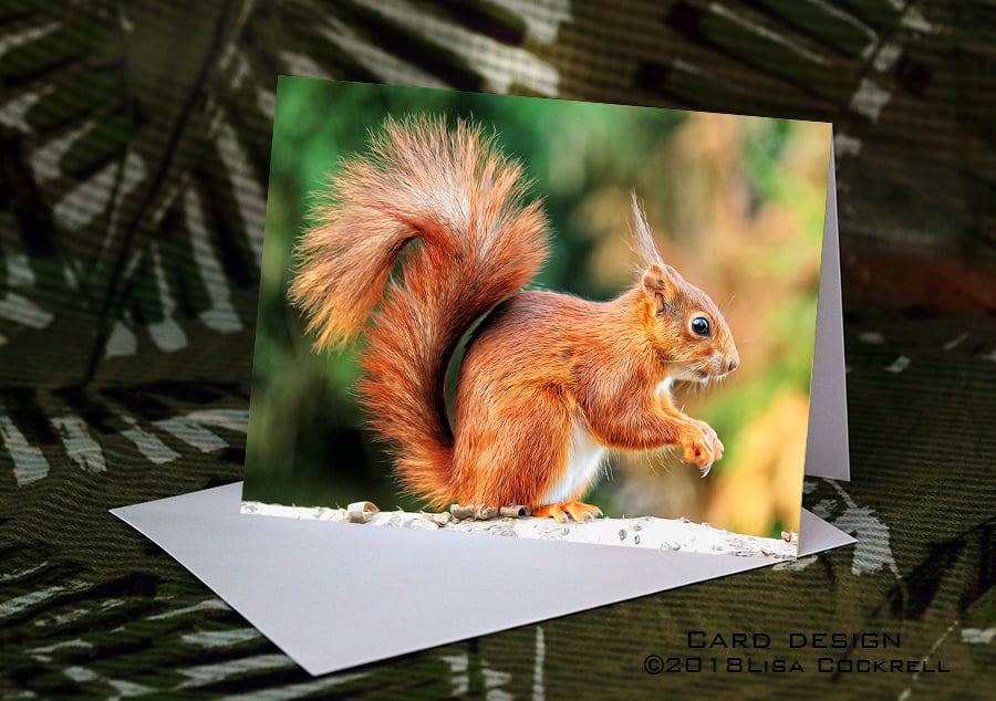 Exclusive Handmade Red Squirrel Greetings Card on Archive Photo Paper