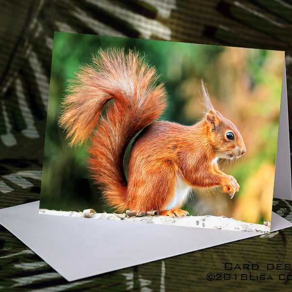 Exclusive Handmade Red Squirrel Greetings Card on Archive Photo Paper