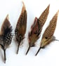 Feather hat trim - Image 3