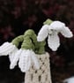 Snowdrops - Image 2