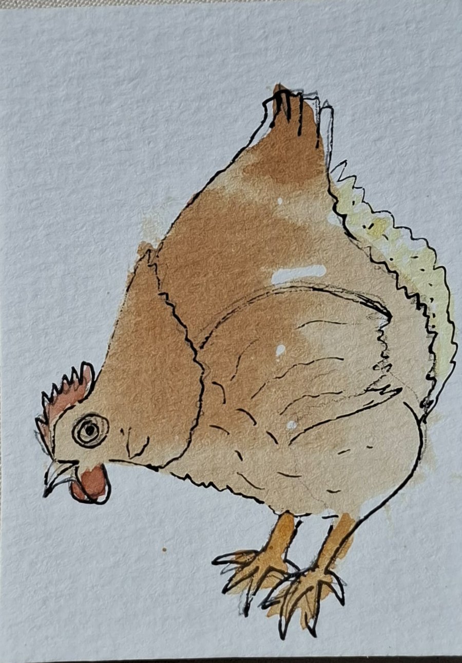 ACEO" Hey Chicken" an original teabag and watercolour artwork
