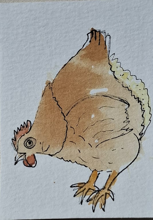 ACEO" Hey Chicken" an original teabag and watercolour artwork