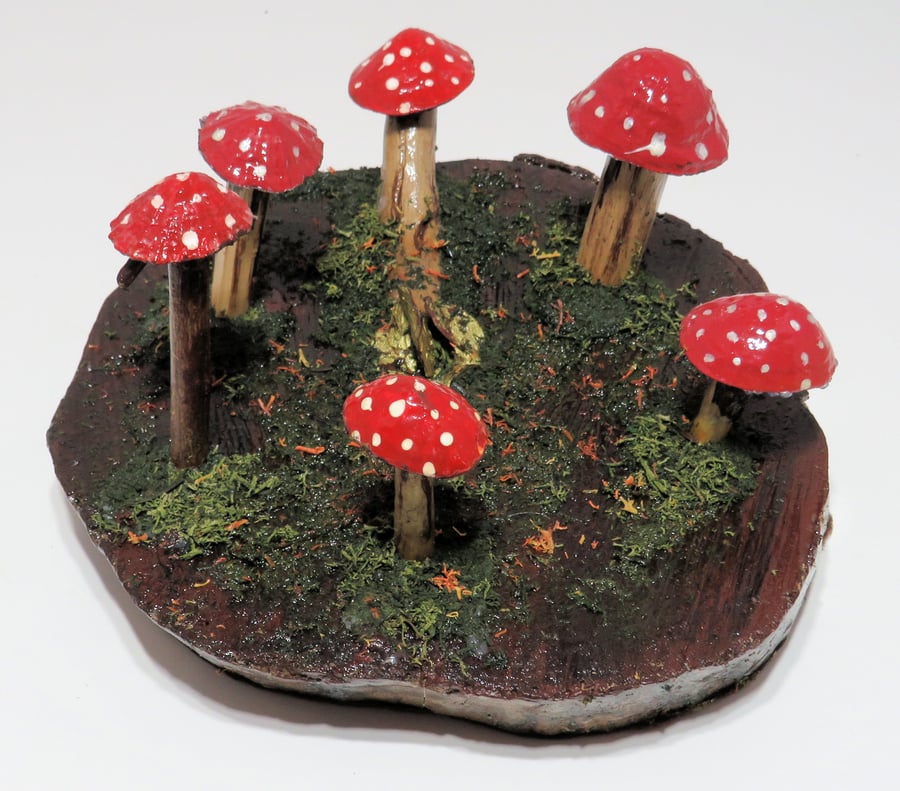 Unique woodland limpet shell and driftwood fairy ring scene ornament 