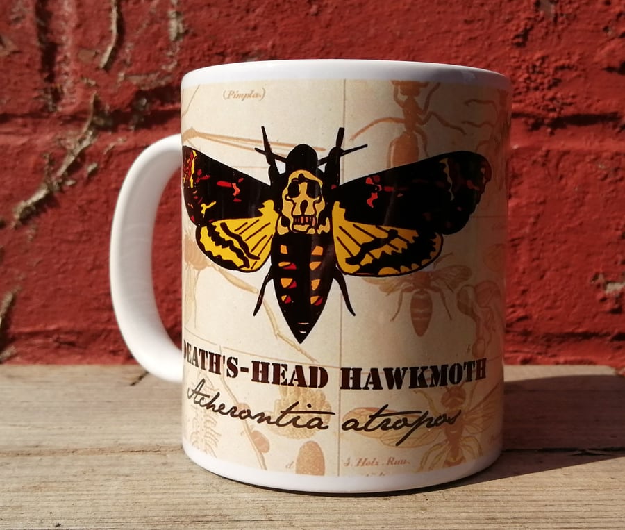 Deaths - Head Hawkmoth mug. Moth mug with Latin name