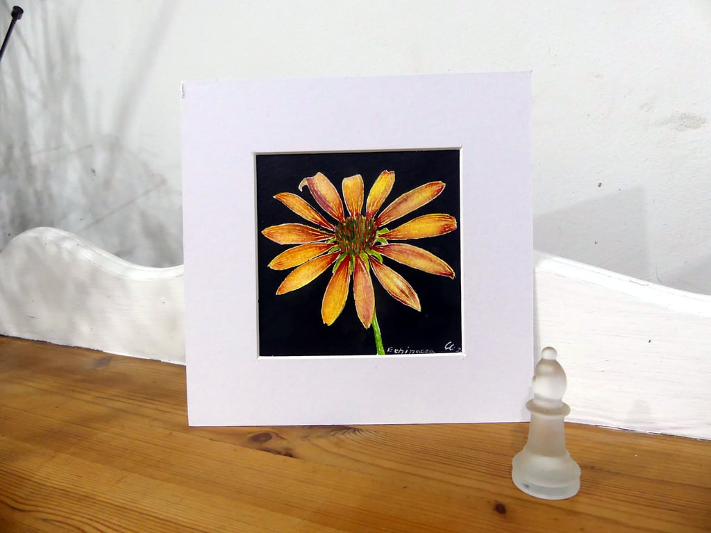 Original Botanical Watercolour of Oange Cone Flower 