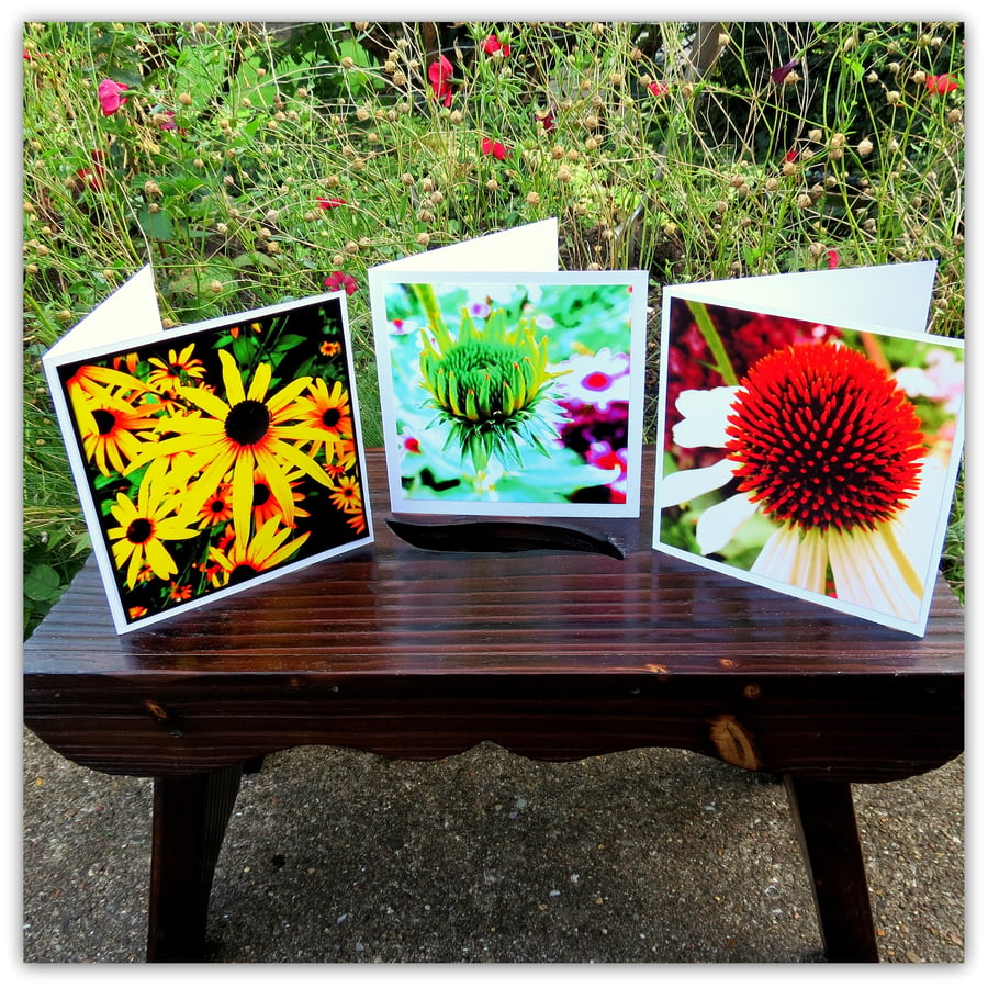 Summer's end.  Set of three blank cards, each with an original photograph.