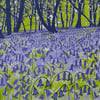 Bluebell Woods, original hand-pulled screen print
