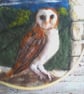 Needle felted owl in moonlit landscape  - Image 5