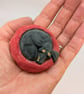 Yorkshire Pudding Dachshund  - Image 3