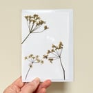 Perfectly Imperfect Real Pressed Flower, Cow Parsley, Handmade Greeting Card