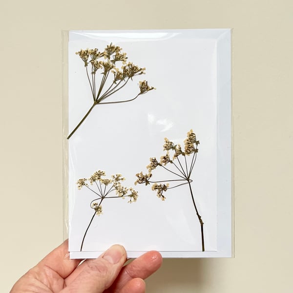 Perfectly Imperfect Real Pressed Flower, Cow Parsley, Handmade Greeting Card