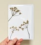 Real Pressed Flower, Cow Parsley, Handmade Greeting Card - Image 1