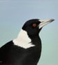 Fine Art Giclée Print Australian Magpie Bird